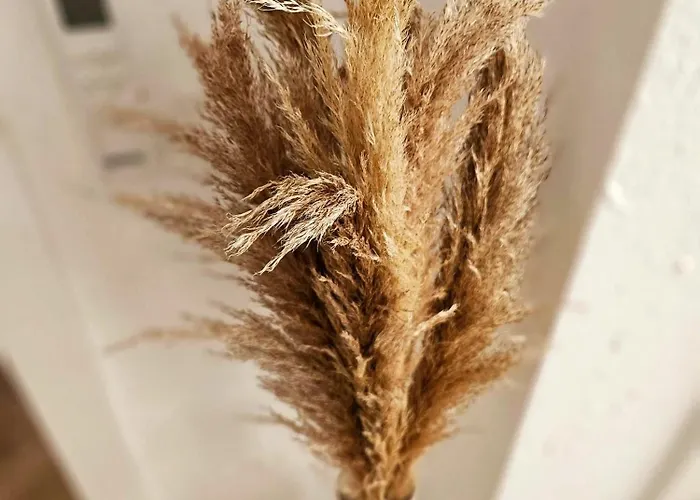 Casa Del Mar Lägenhet